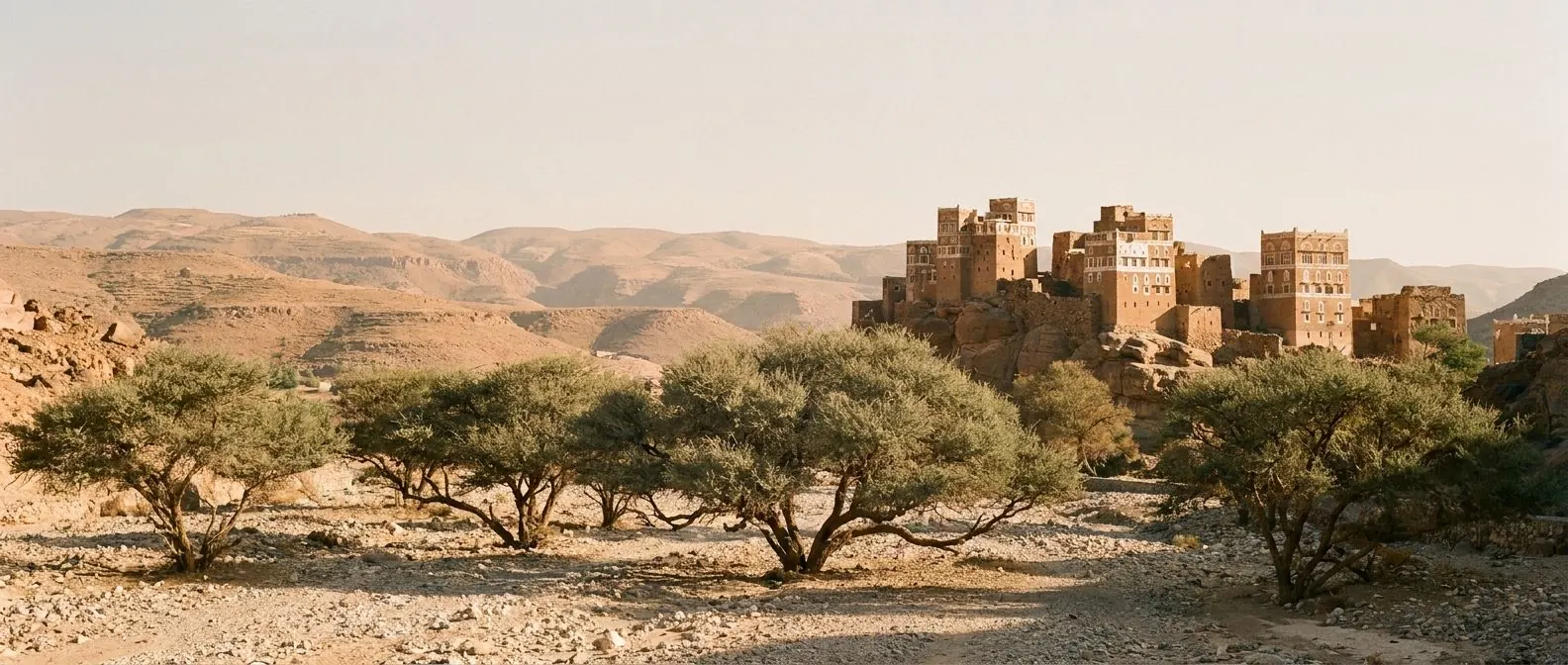 A Yemeni mudbrick tower-house town on a rocky outcrop above a valley floor of Sidr trees, with terraced highlands receding behind